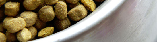 dog food